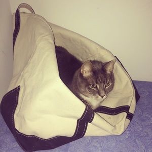 Meet your Posher, Aimee